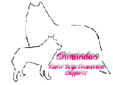 Chimindoa