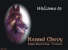 Kennel Chevy